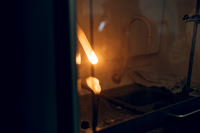 _7807618.jpg